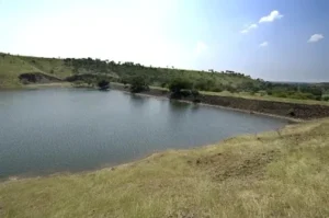 https://www.youtube.com/shorts/SiYyDElbHEA?feature=share