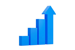 Profit And Loss Statement (P&L)